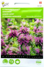 Monarda Seeds